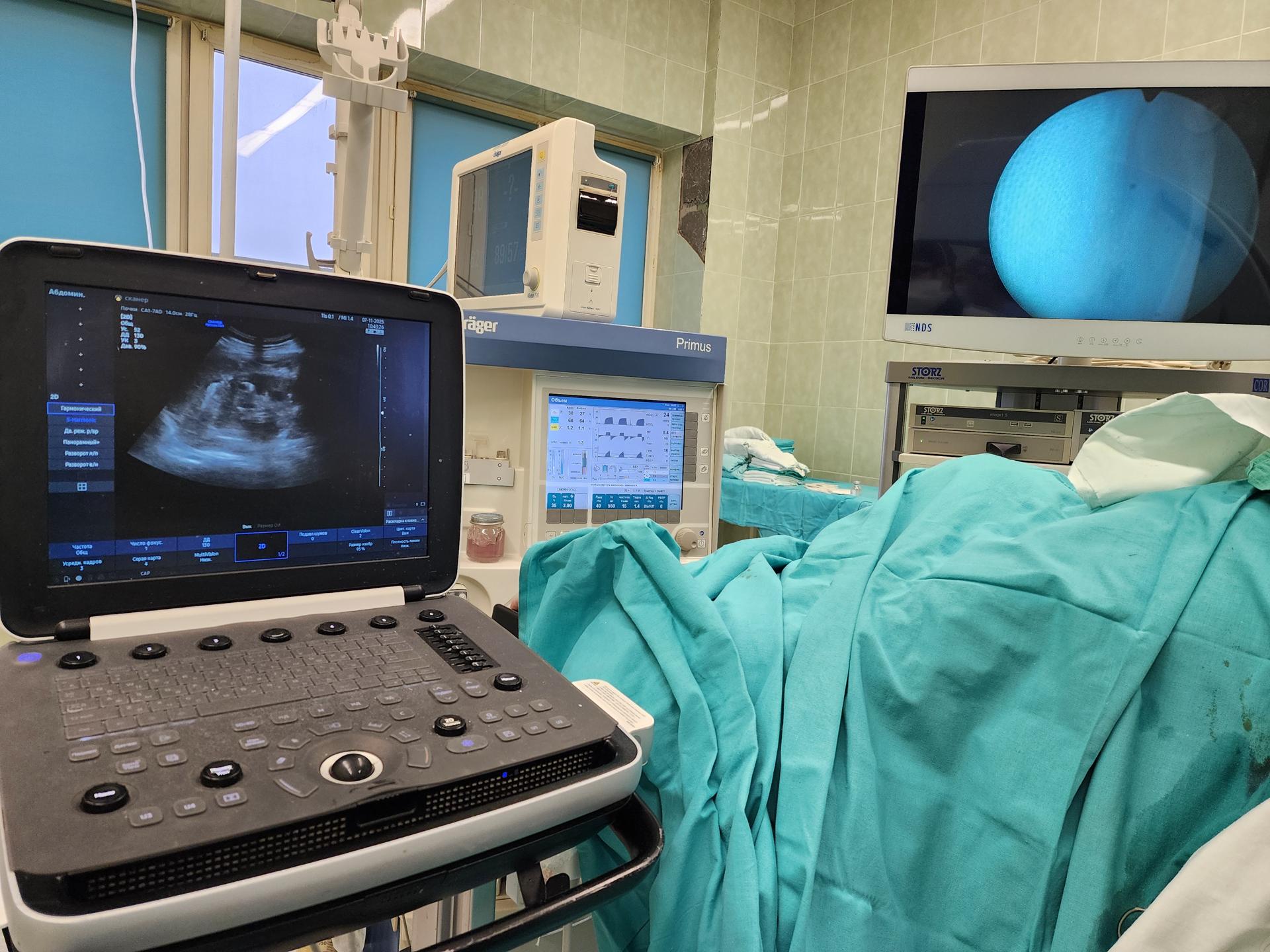 Фото: МедиаБанк Подмосковья/Ирина Моисеева