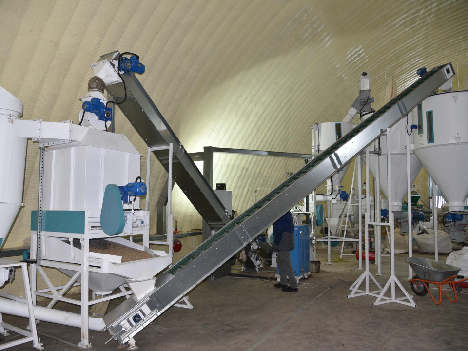 Фото: пресс-служба администрации м.о. Лотошино