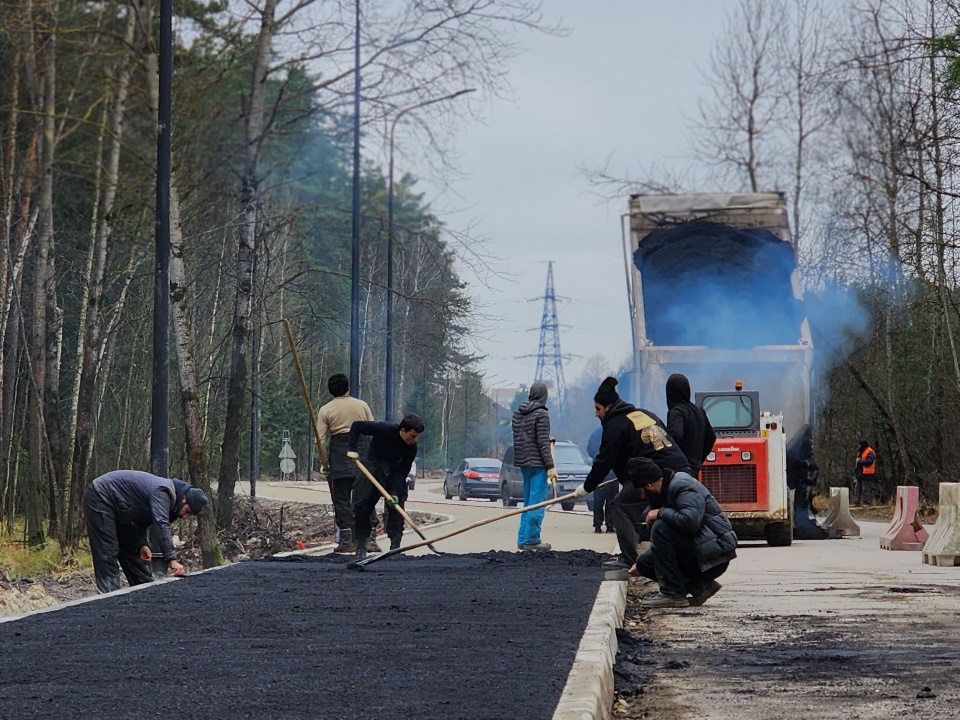 Фото: МедиаБанк Подмосковья/Валерия Тингаева