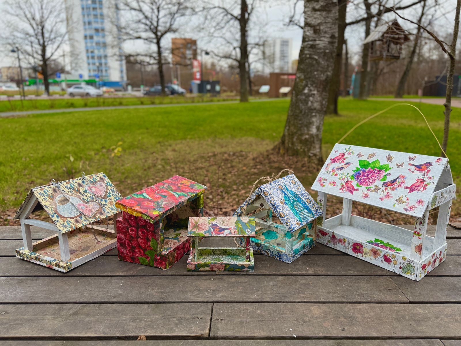 Фото: Фрязинский лесопарк