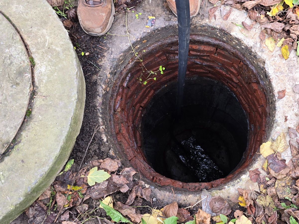 Фото: МедиаБанк Подмосковья/Марина Анисимова