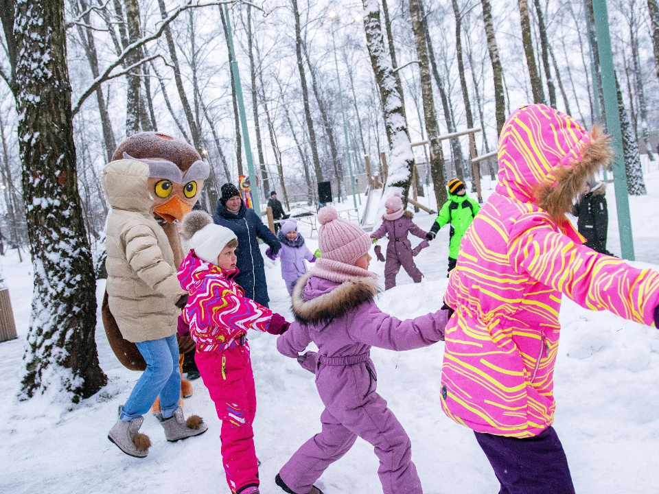 Фото: Парки г.о. Домодедово