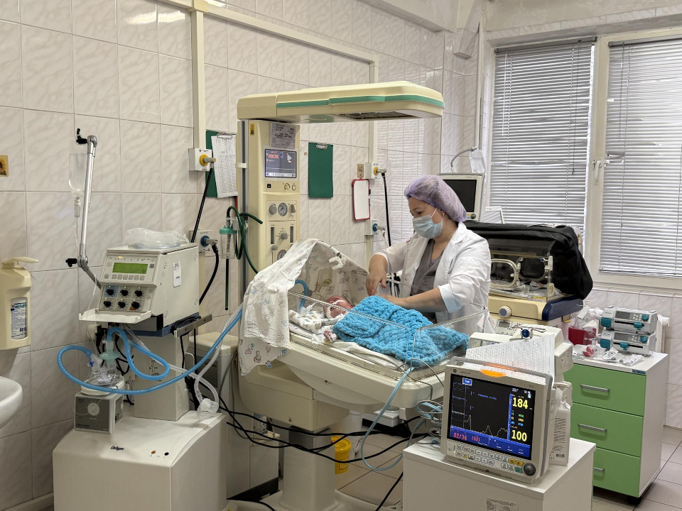 Фото: МедиаБанк Подмосковья/Анна Дука