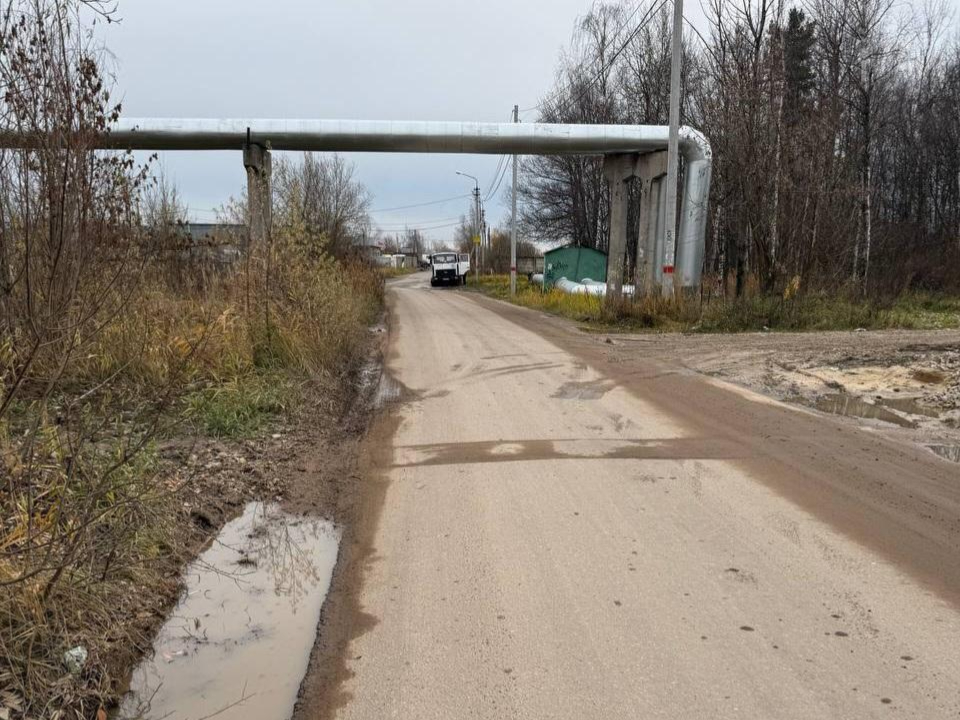 Фото: Екатерина Козеева