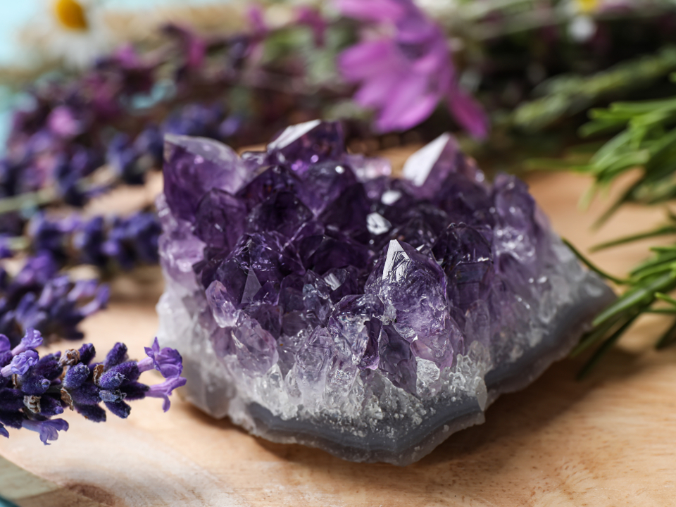 Фото: istockphoto.com/Liudmila Chernetska