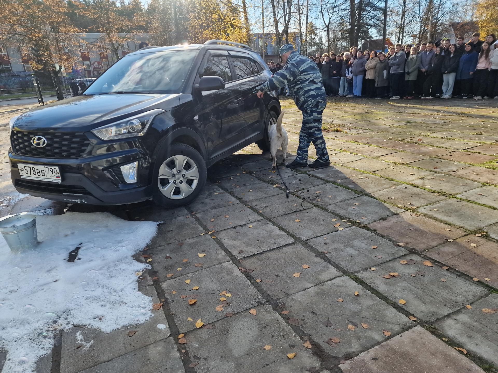 Фото: REGIONS/Анастасия Игнатова   