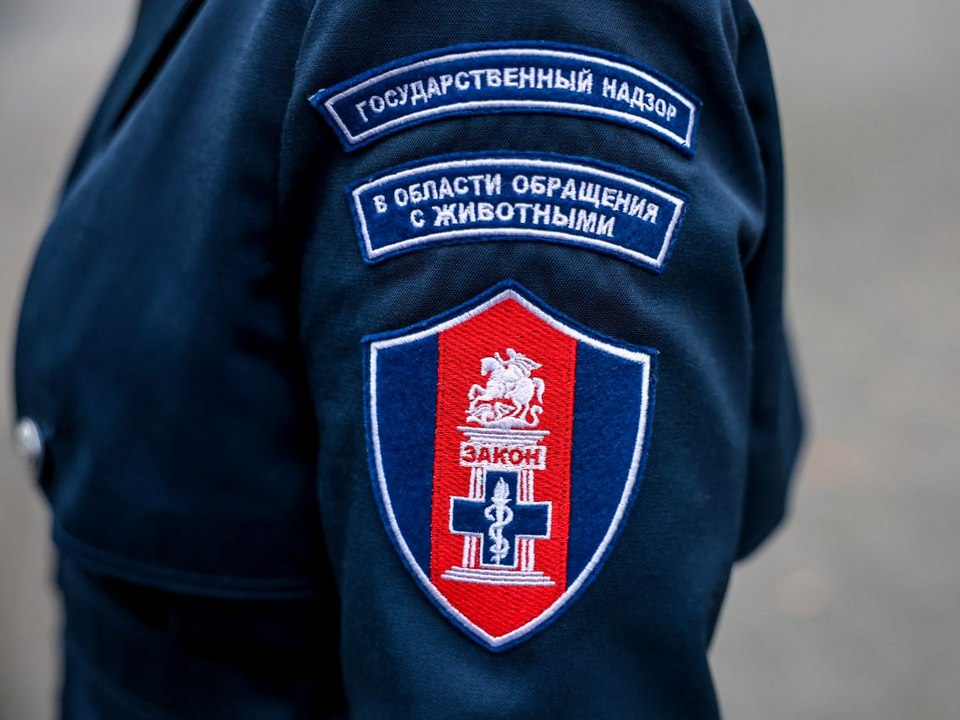 Фото: пресс-служба администрации г.о. Мытищи