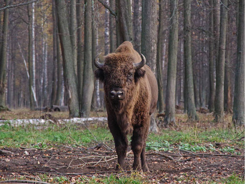 Фото: t.me/culturemo