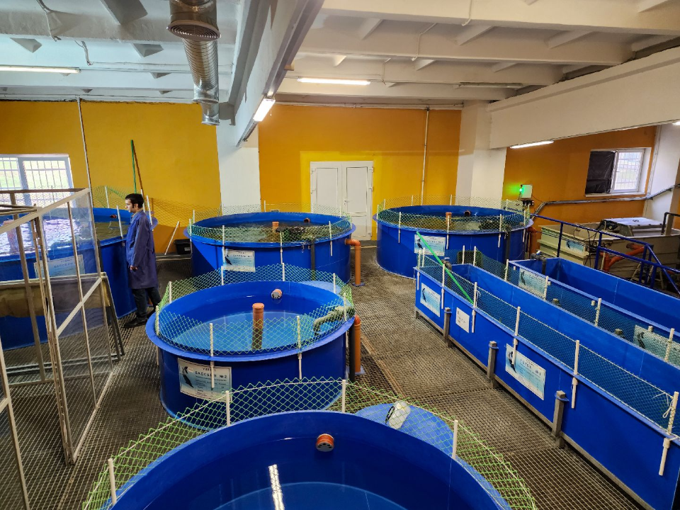 Фото: МедиаБанк Подмосковья/Мария Андрюхина