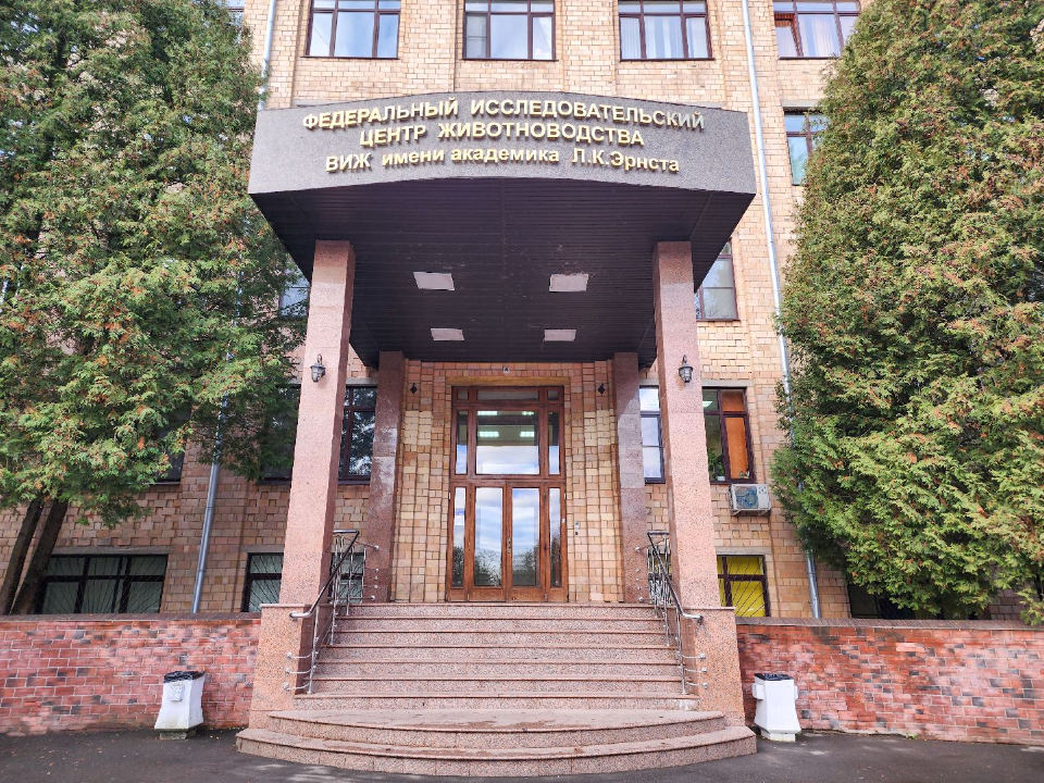 Фото: МедиаБанк Подмосковья/Мария Андрюхина