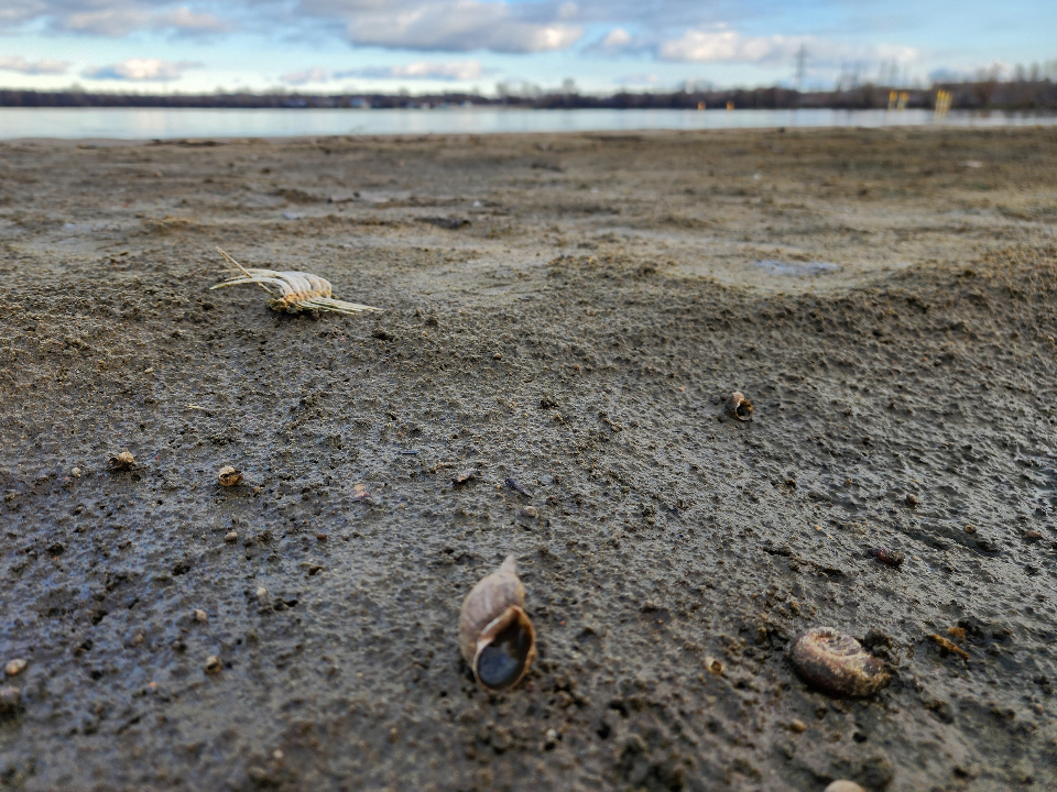 Фото: REGIONS/Михаил Мартыненко