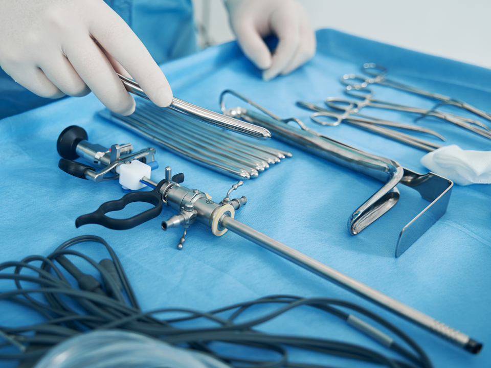 Фото: istockphoto.com/Svitlana Hulko