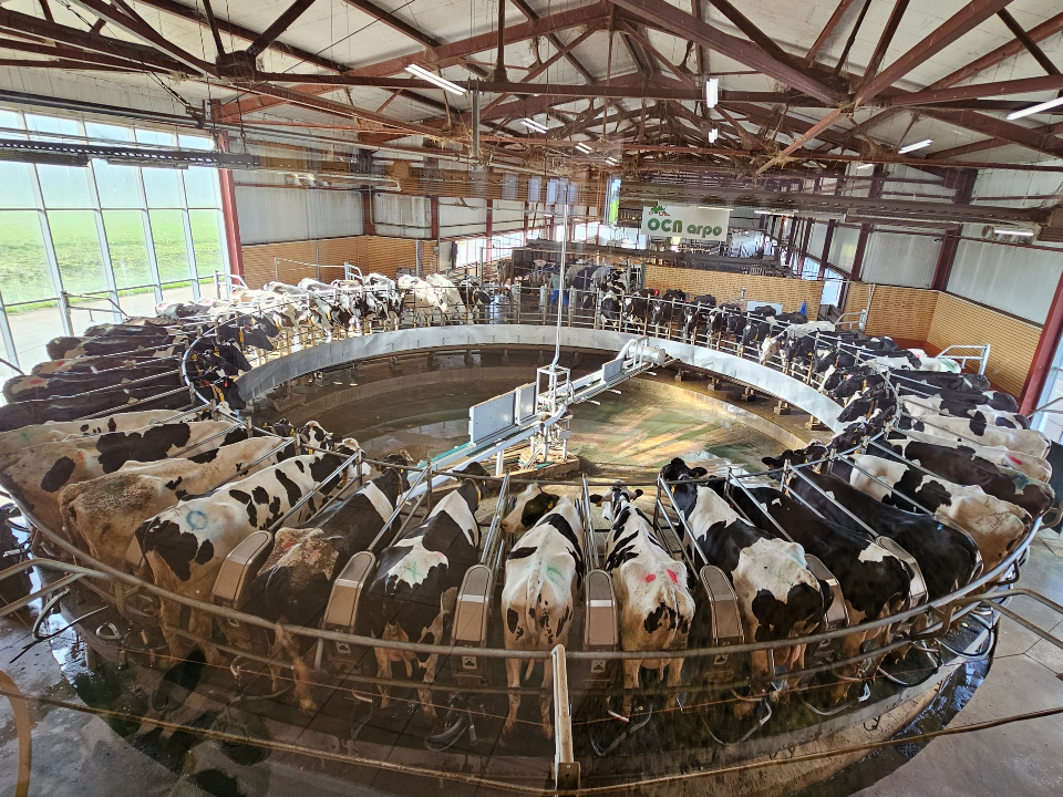 Фото: Агрохолдинг «ОСП агро»