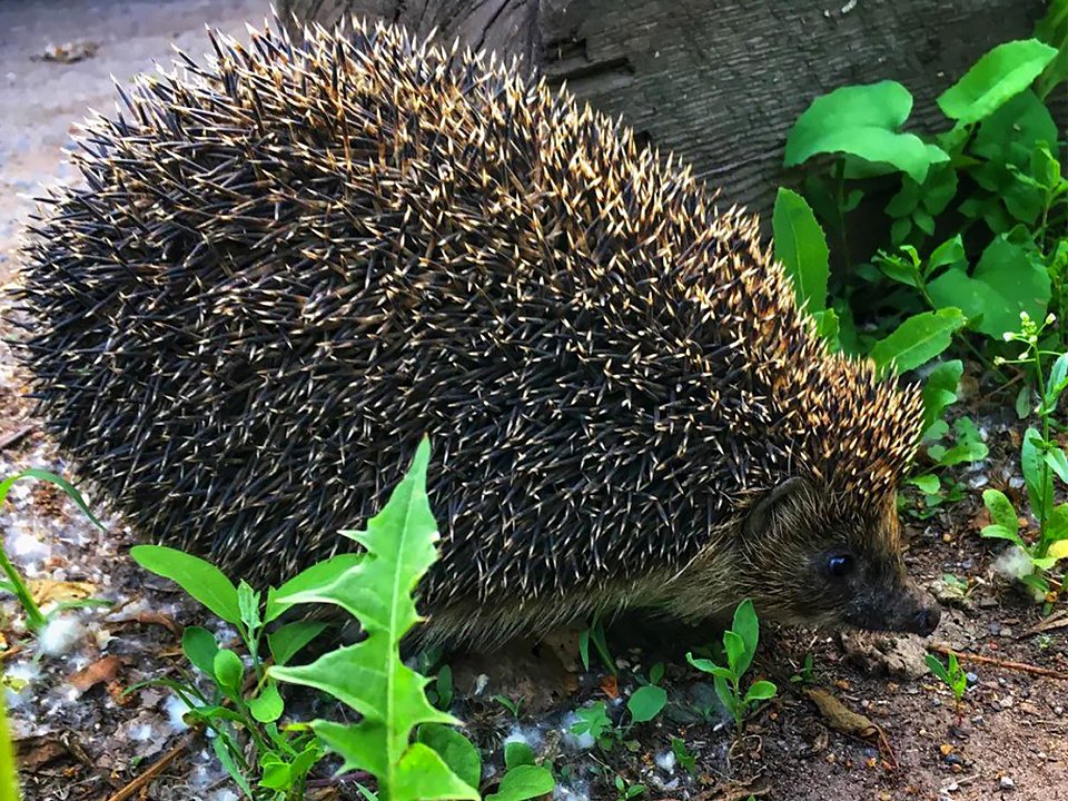 Фото: REGIONS/Антонина Гареева