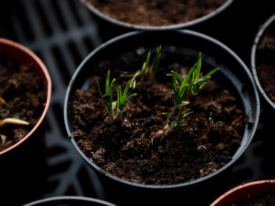 Фото: REGIONS/Наталия Надточая