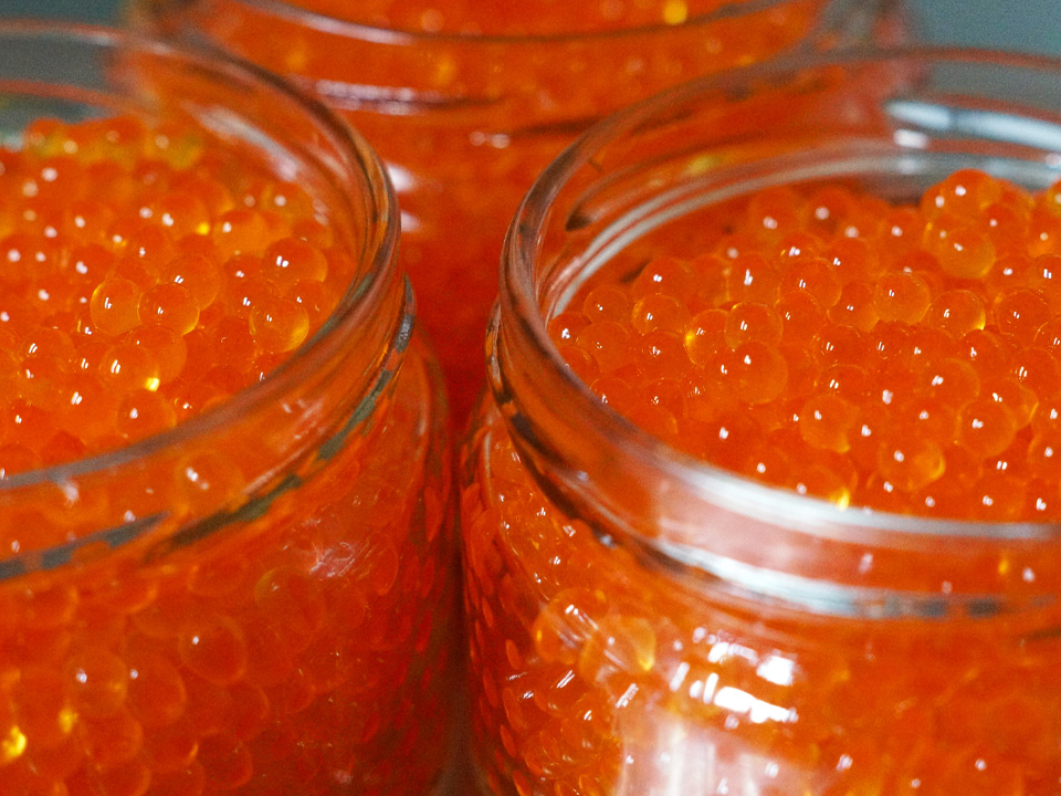 Фото: istockphoto.com/Andrii Raksha 