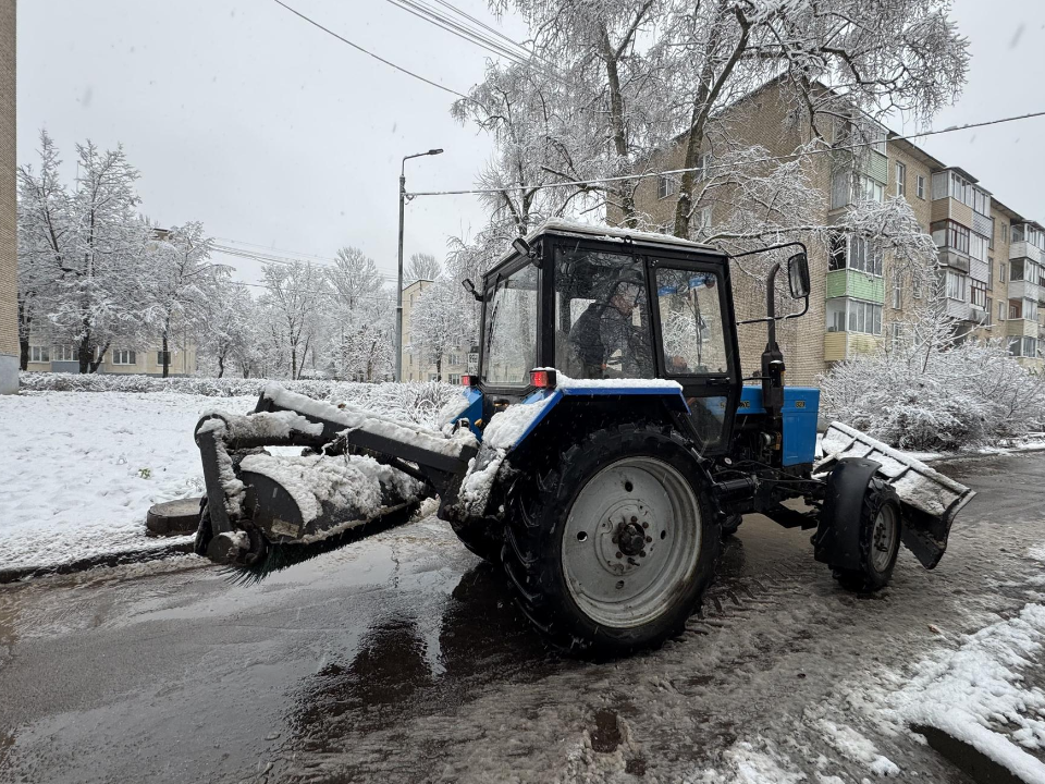 Фото: REGIONS/Татьяна Сташенко