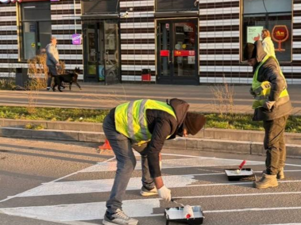 Фото: ГУ МЧС России по Московской области