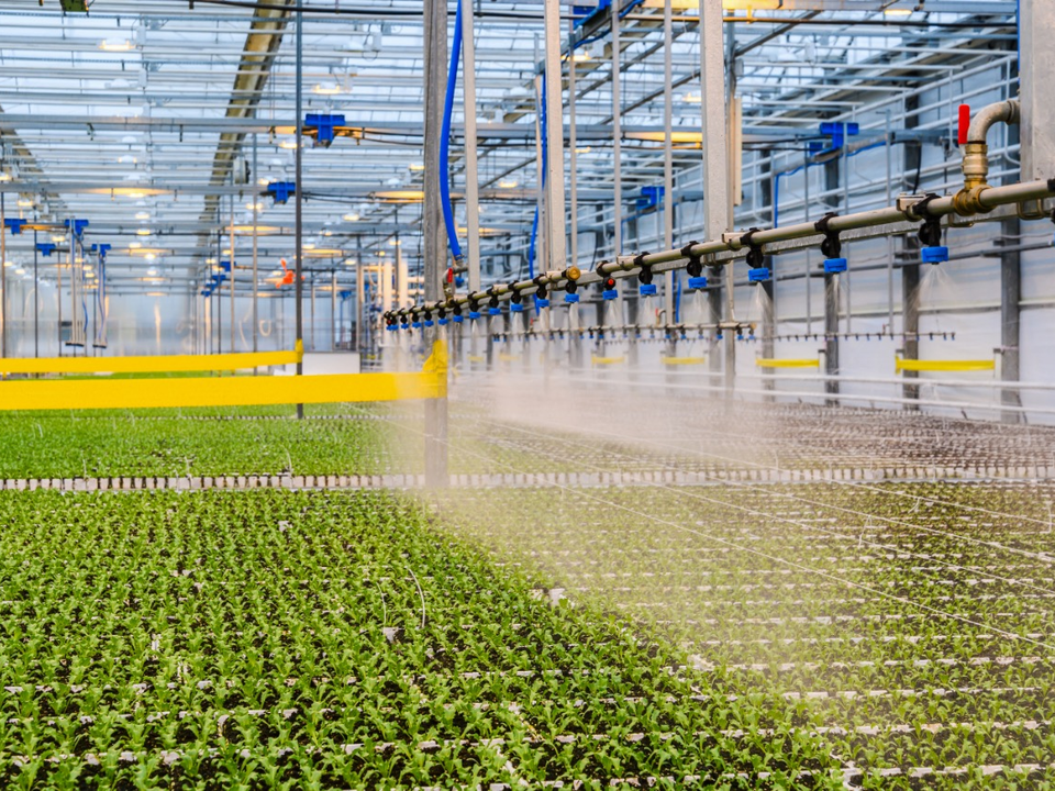 Фото: Министерство сельского хозяйства и продовольствия Московской области