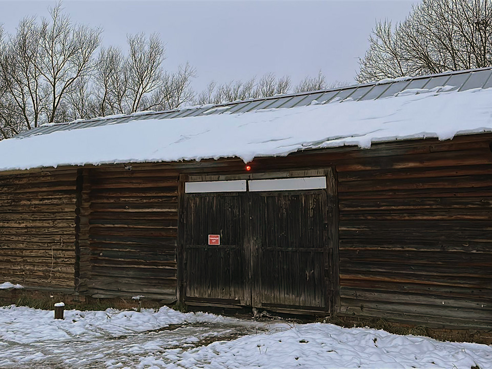 Фото: МедиаБанк Подмосковья/Кристина Тришина