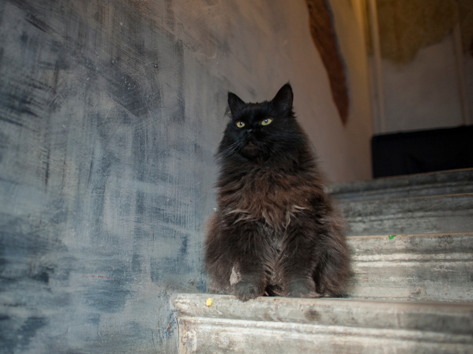 Фото: медиасток.рф