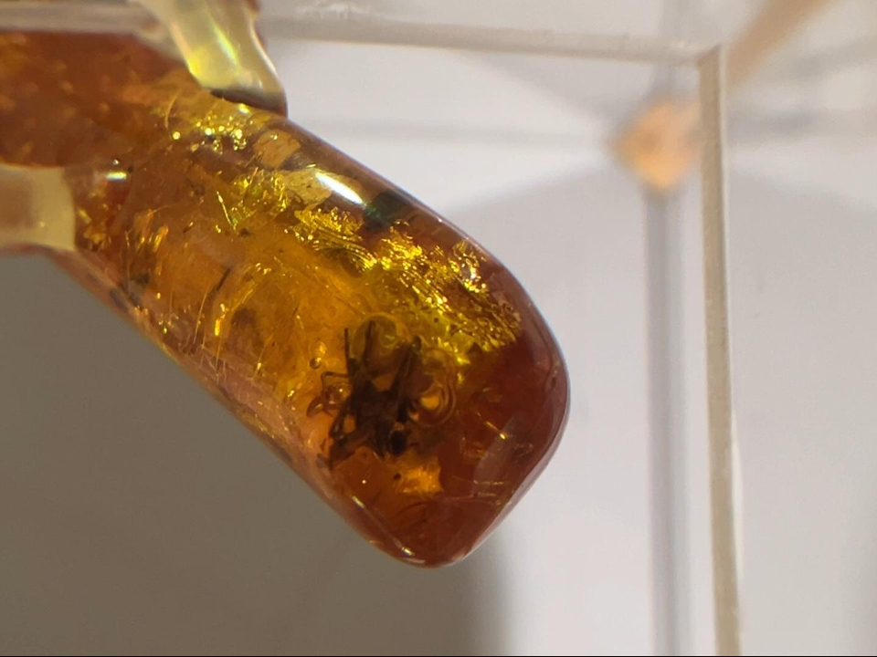 Фото: Виктория Фортуна