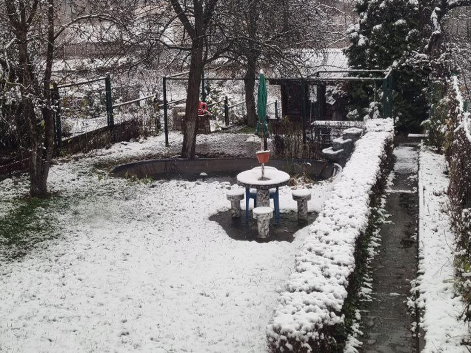 Фото: Ольга Егиян