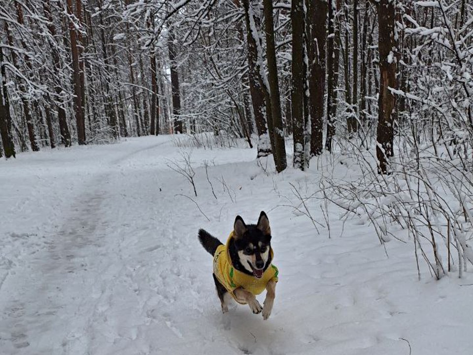 Фото: Максим Зубарев