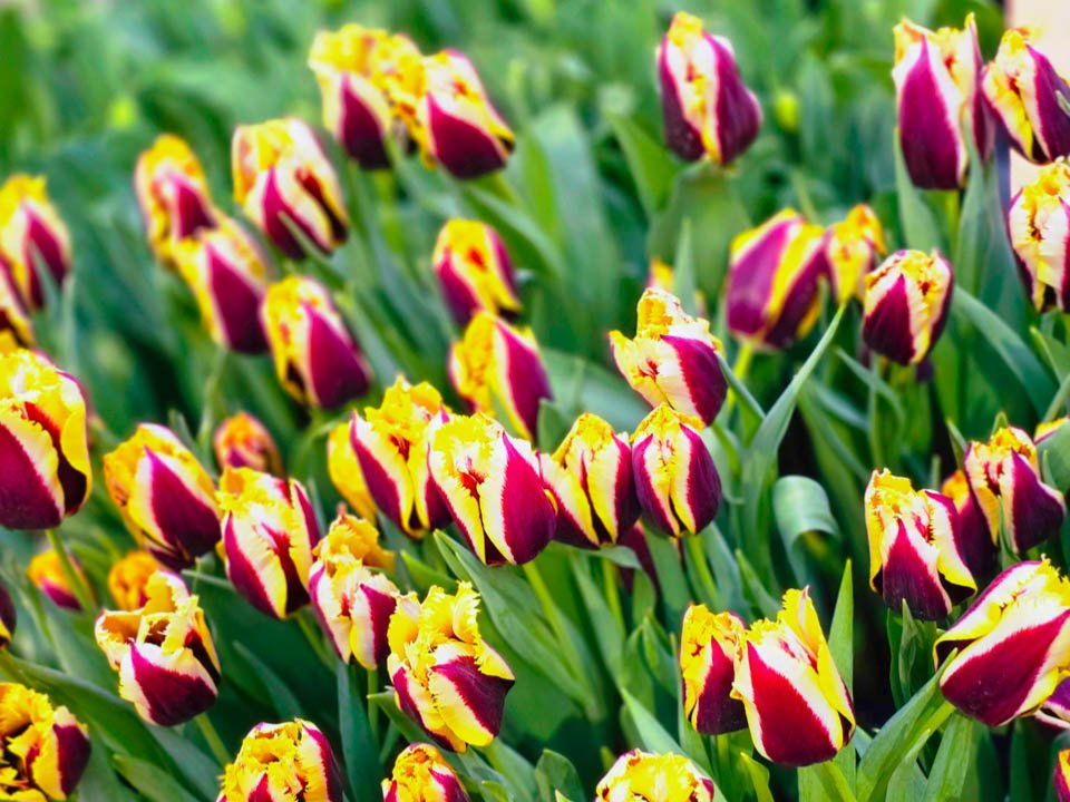 Фото: REGIONS/Елена Никольская