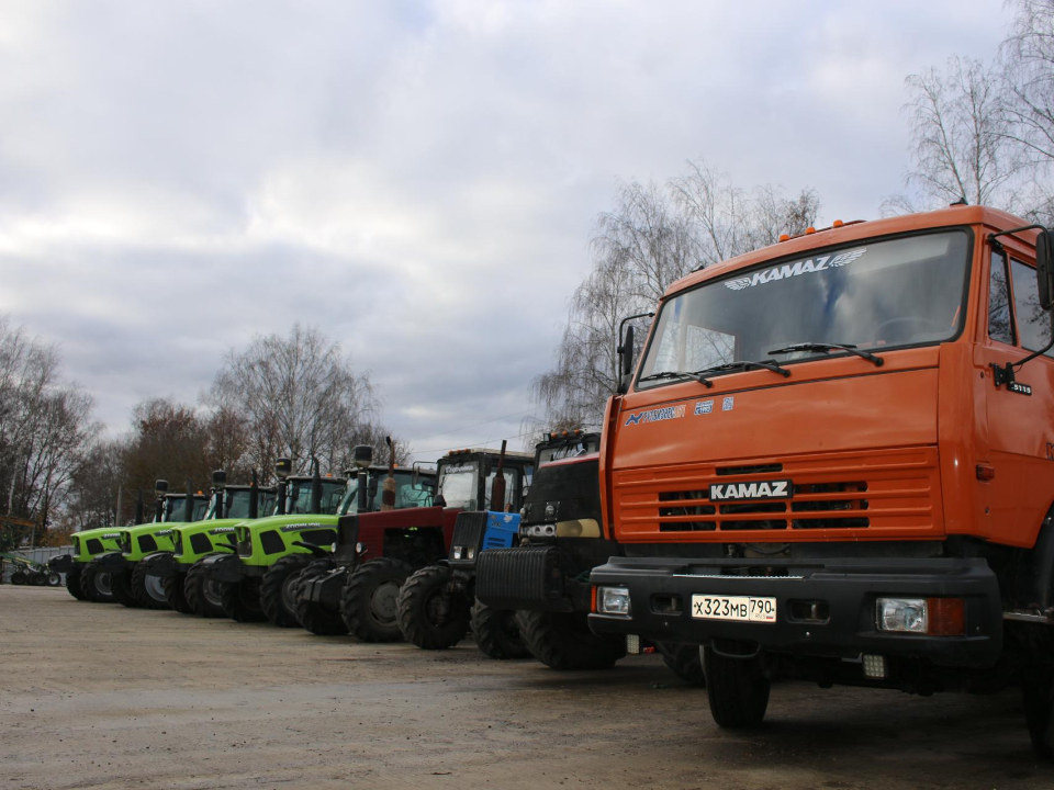 Фото: Екатерина Миронова