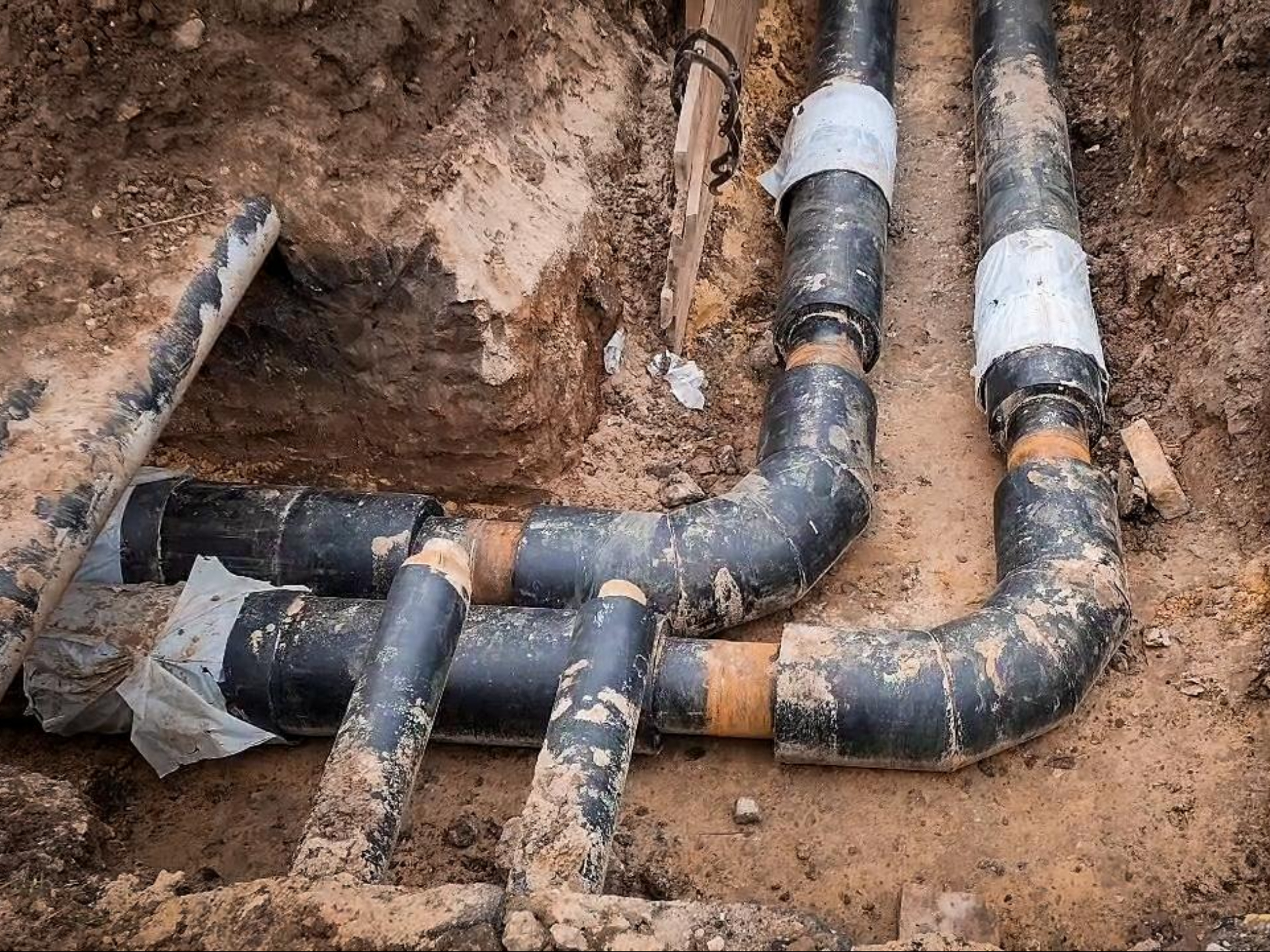 Фото: МедиаБанк Подмосковья/Ольга Антонова