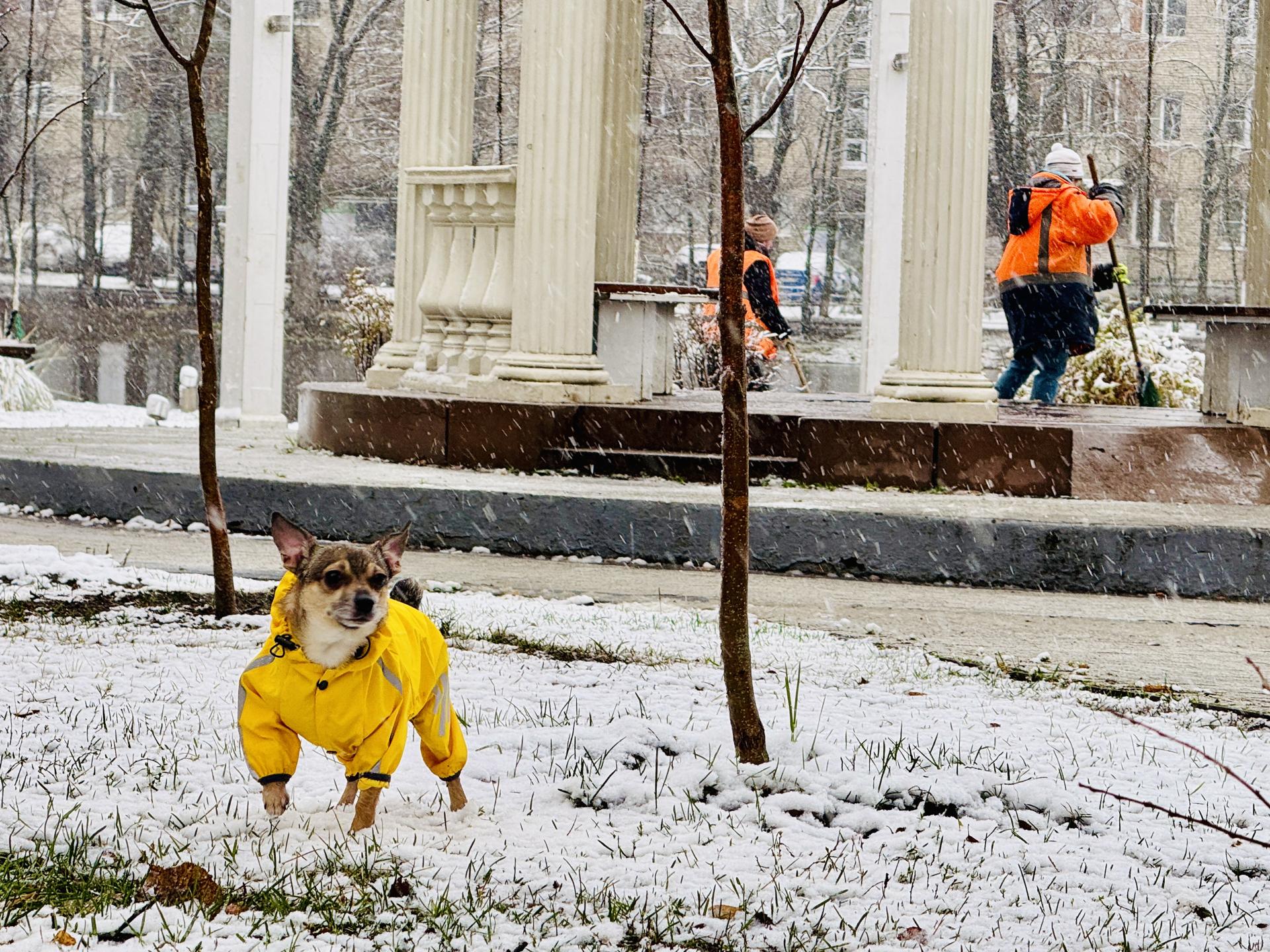 Фото: МедиаБанк Подмосковья/Ольга Стаферова