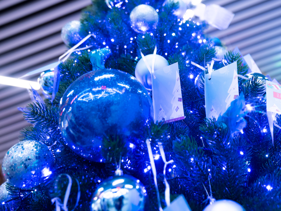 Фото: REGIONS/Наталия Надточая