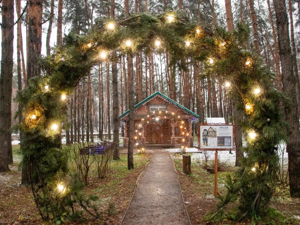 Фото: пресс-служба администрации г.о. Домодедово