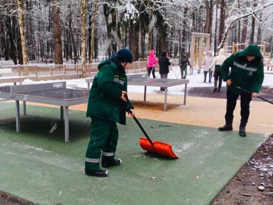 Фото: администрация г.о. Жуковский