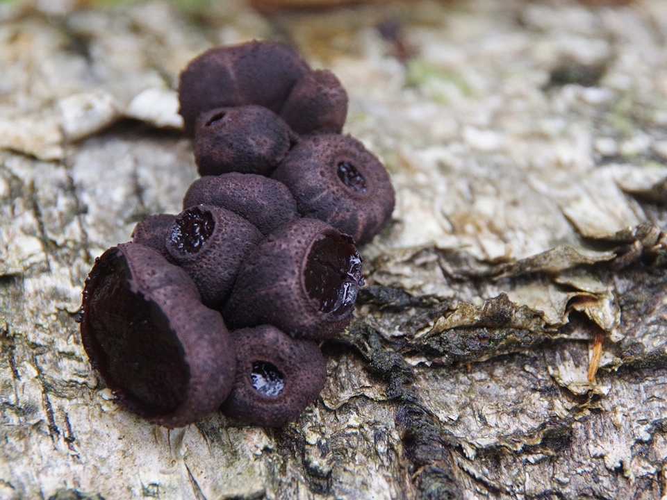 Фото: Ольга Калинина