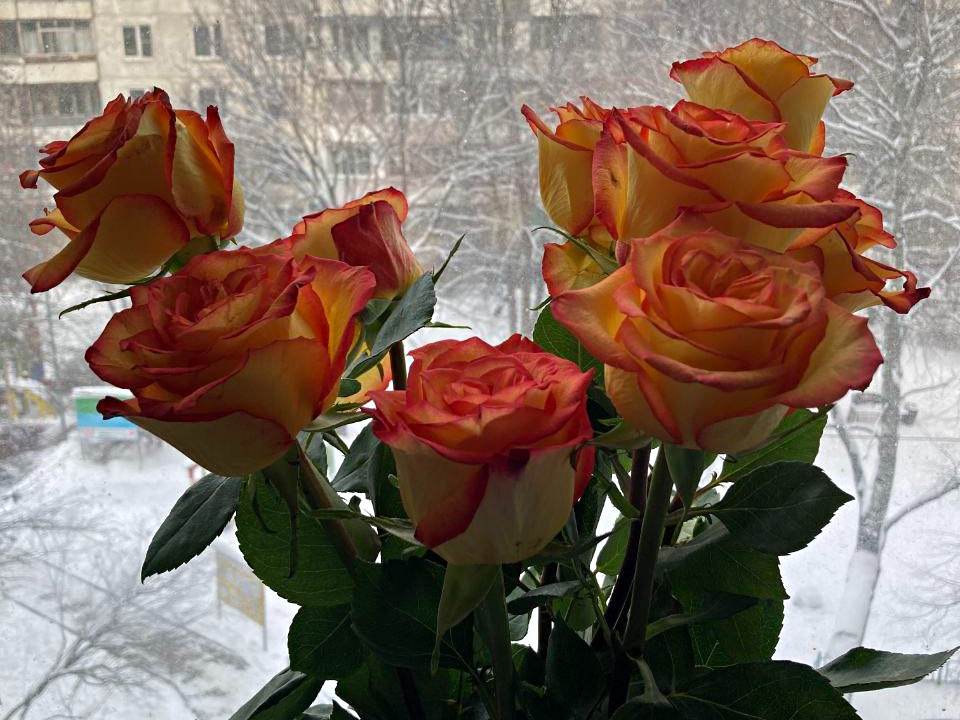 Фото: Ирина Зубарева