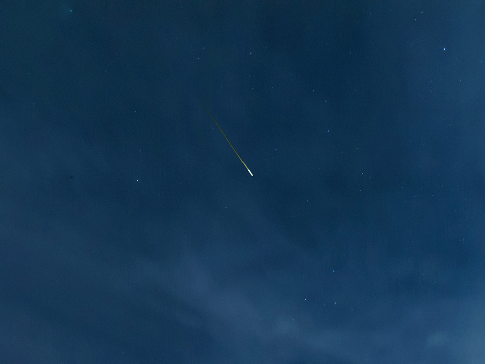 Фото: сommons.wikimedia/Jacek Halicki