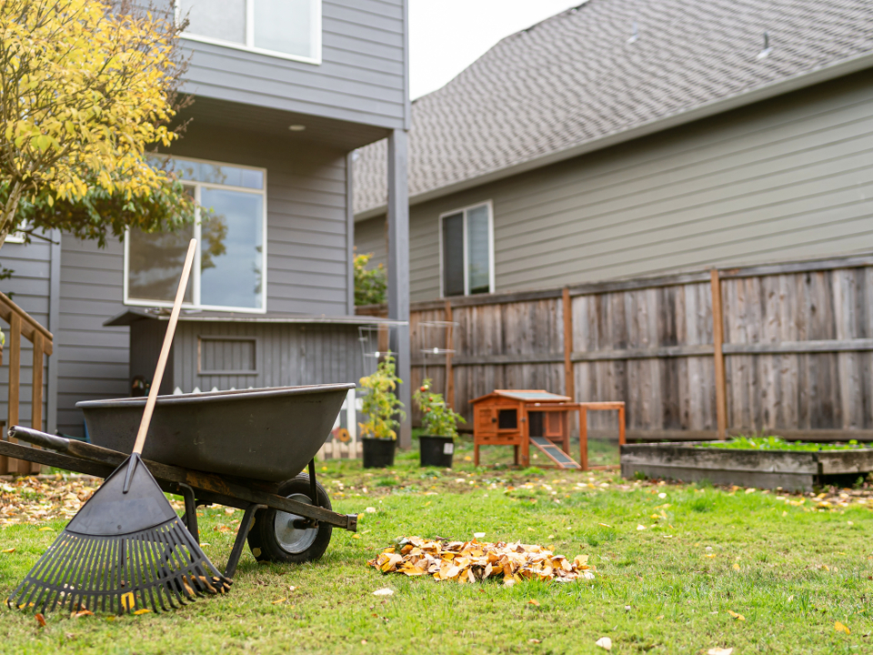 Фото: istockphoto.com/Fly View Productions