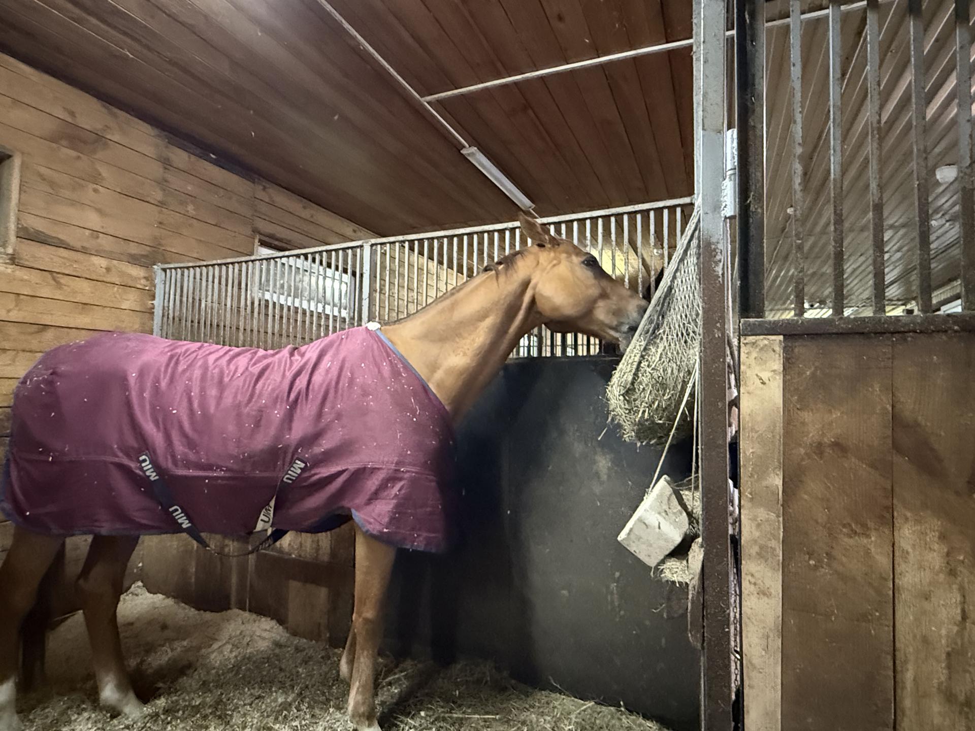 Фото: МедиаБанк Подмосковья/Анна Дука