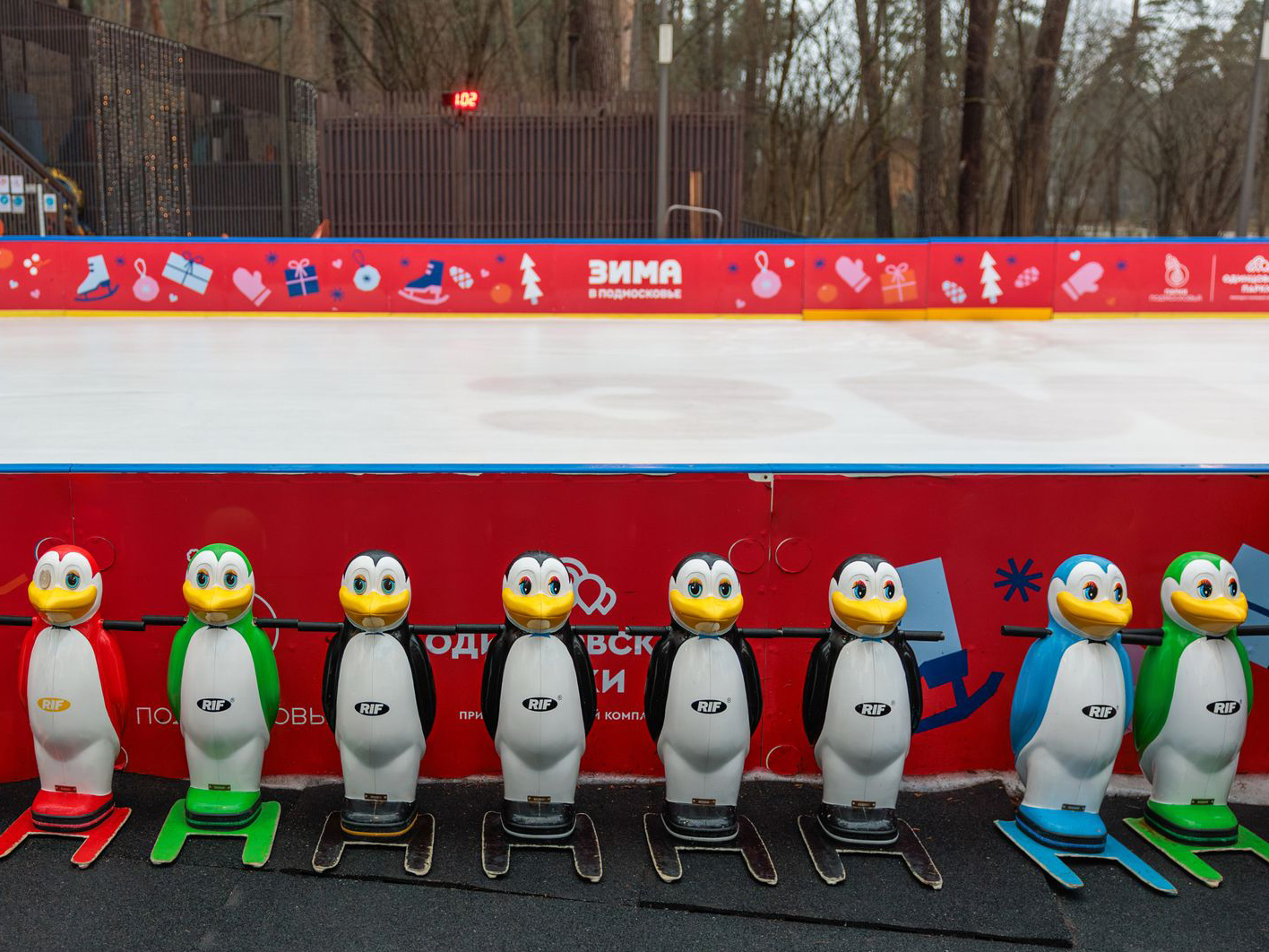 Фото: медиасток.рф