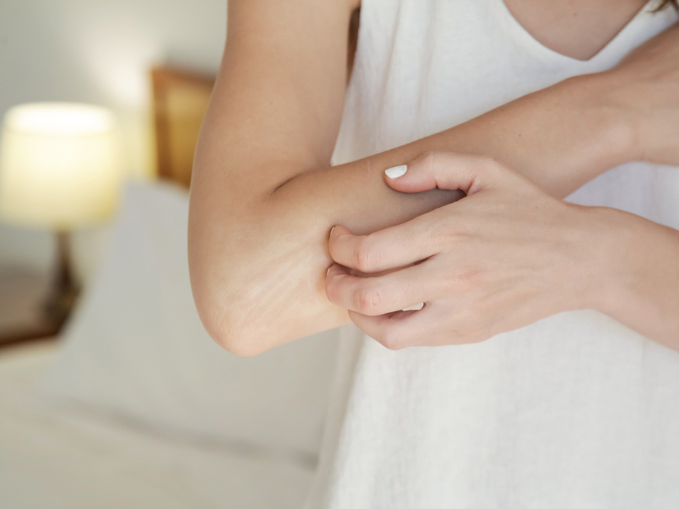 Фото: istockphoto.com/triocean