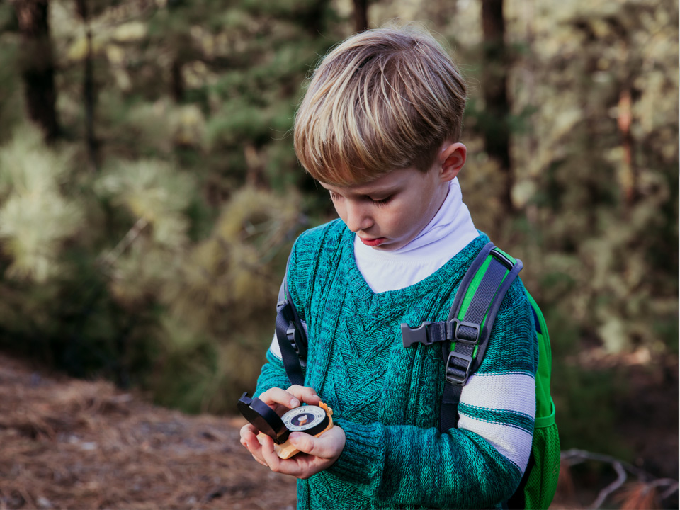 Фото: istockphoto.com/Nadezhda1906 