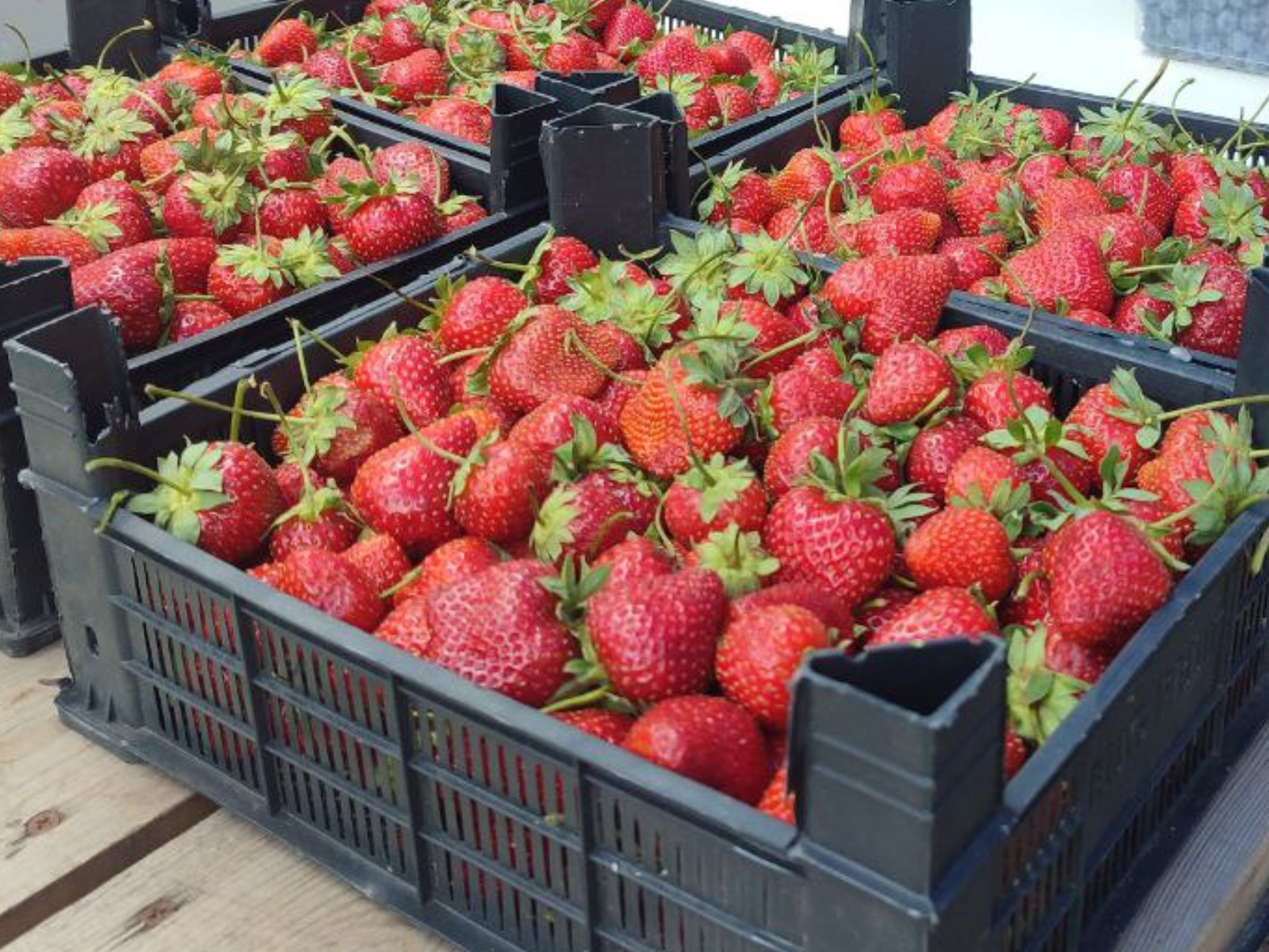 Фото: REGIONS/Елена Забелина