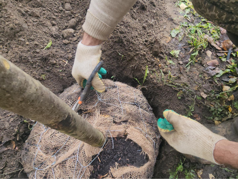 Фото: МедиаБанк Подмосковья/Наталья Лымарь