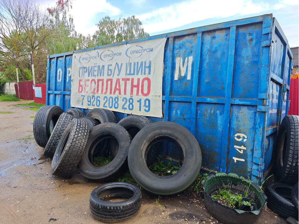 Фото: REGIONS/Дарья Кургузова