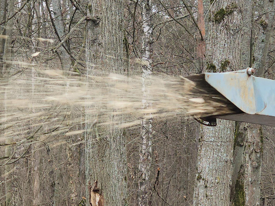 Фото: МедиаБанк Подмосковья/Екатерина Мелкозерова