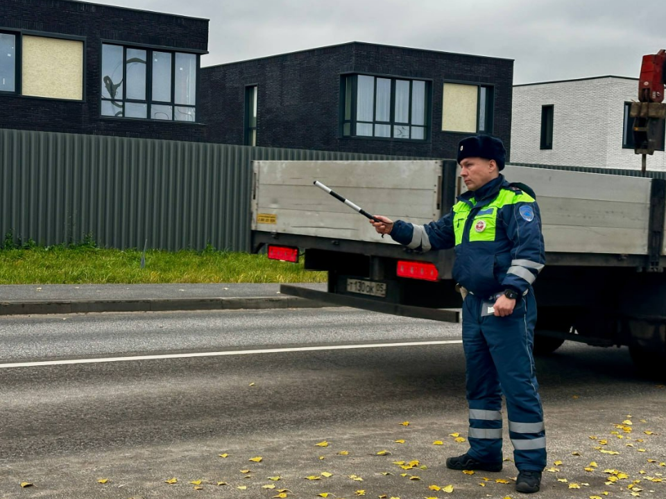 Фото: УМВД России по г.о. Химки