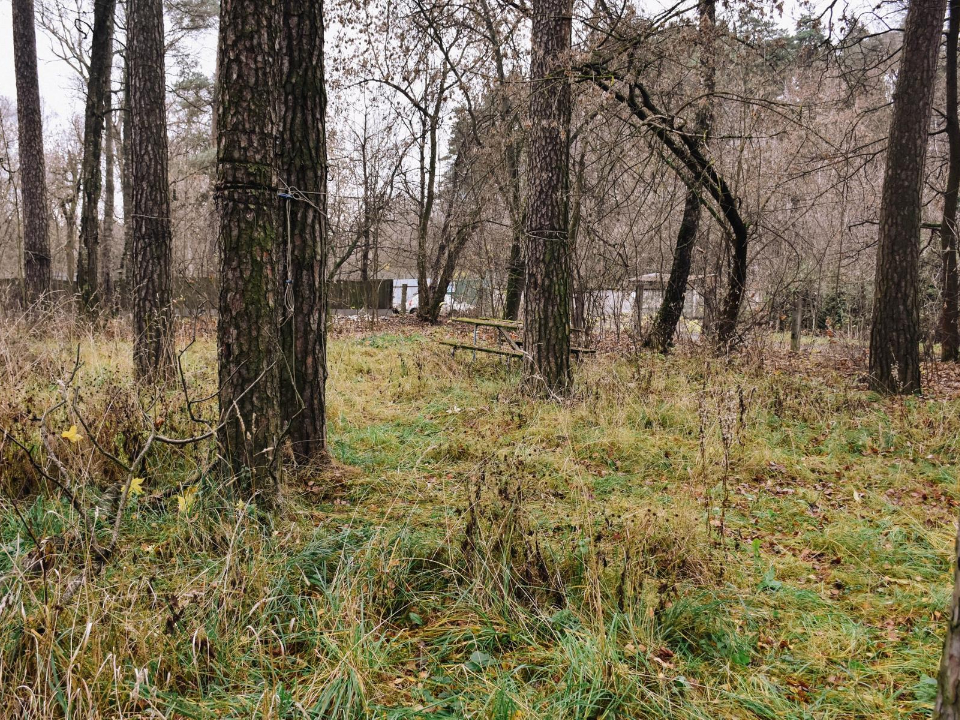 Фото: Артем Садула