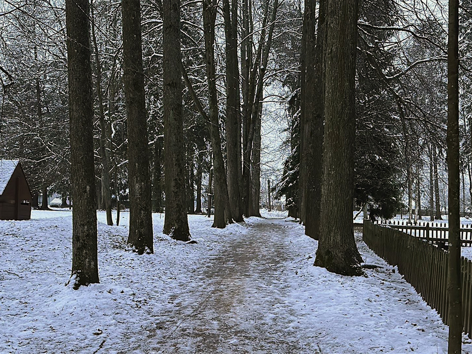 Фото: МедиаБанк Подмосковья/Кристина Тришина